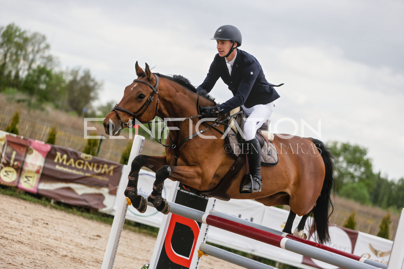 Gramina_Kevad_2026_120_057