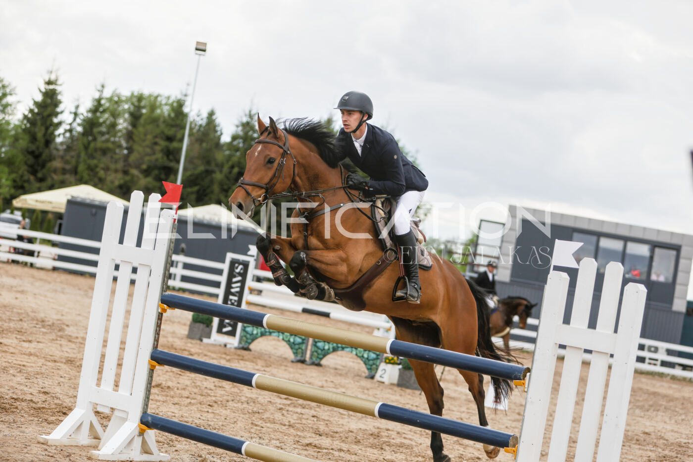 Gramina_Kevad_2026_120_058