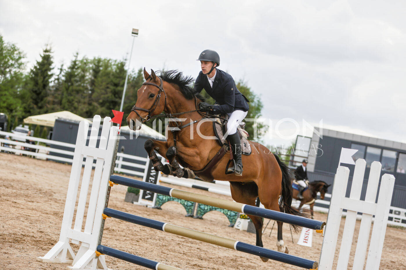 Gramina_Kevad_2026_120_059