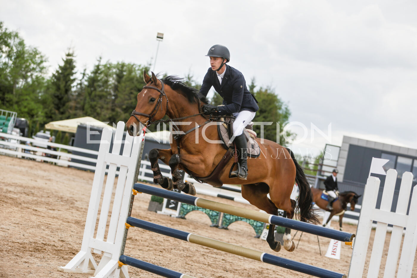 Gramina_Kevad_2026_120_060