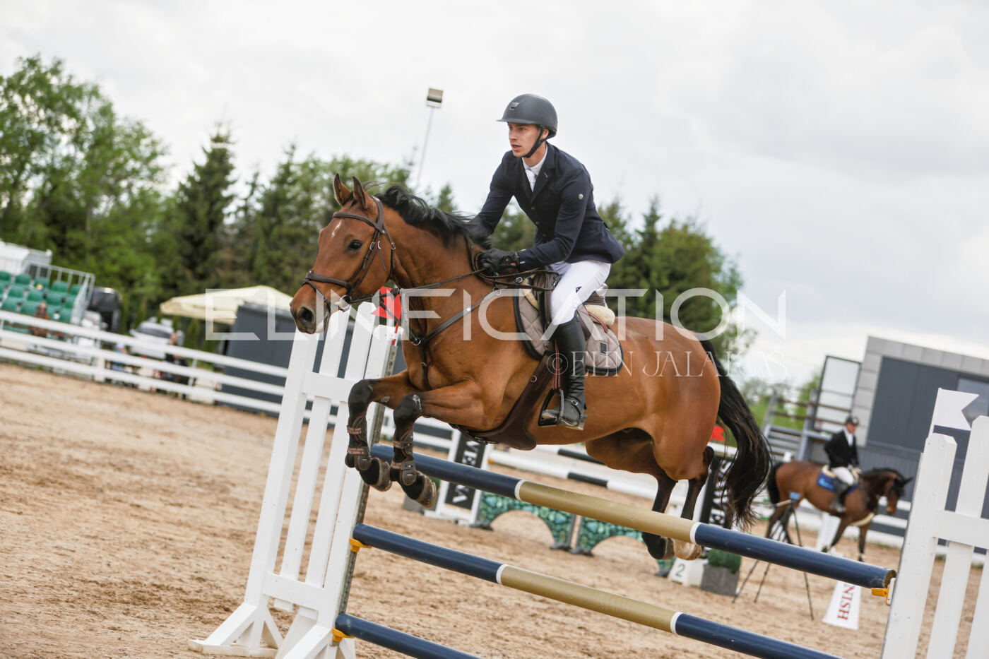 Gramina_Kevad_2026_120_061