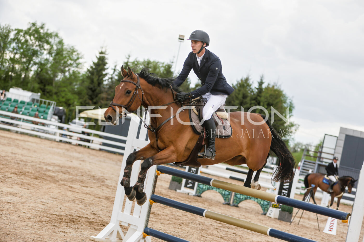 Gramina_Kevad_2026_120_062