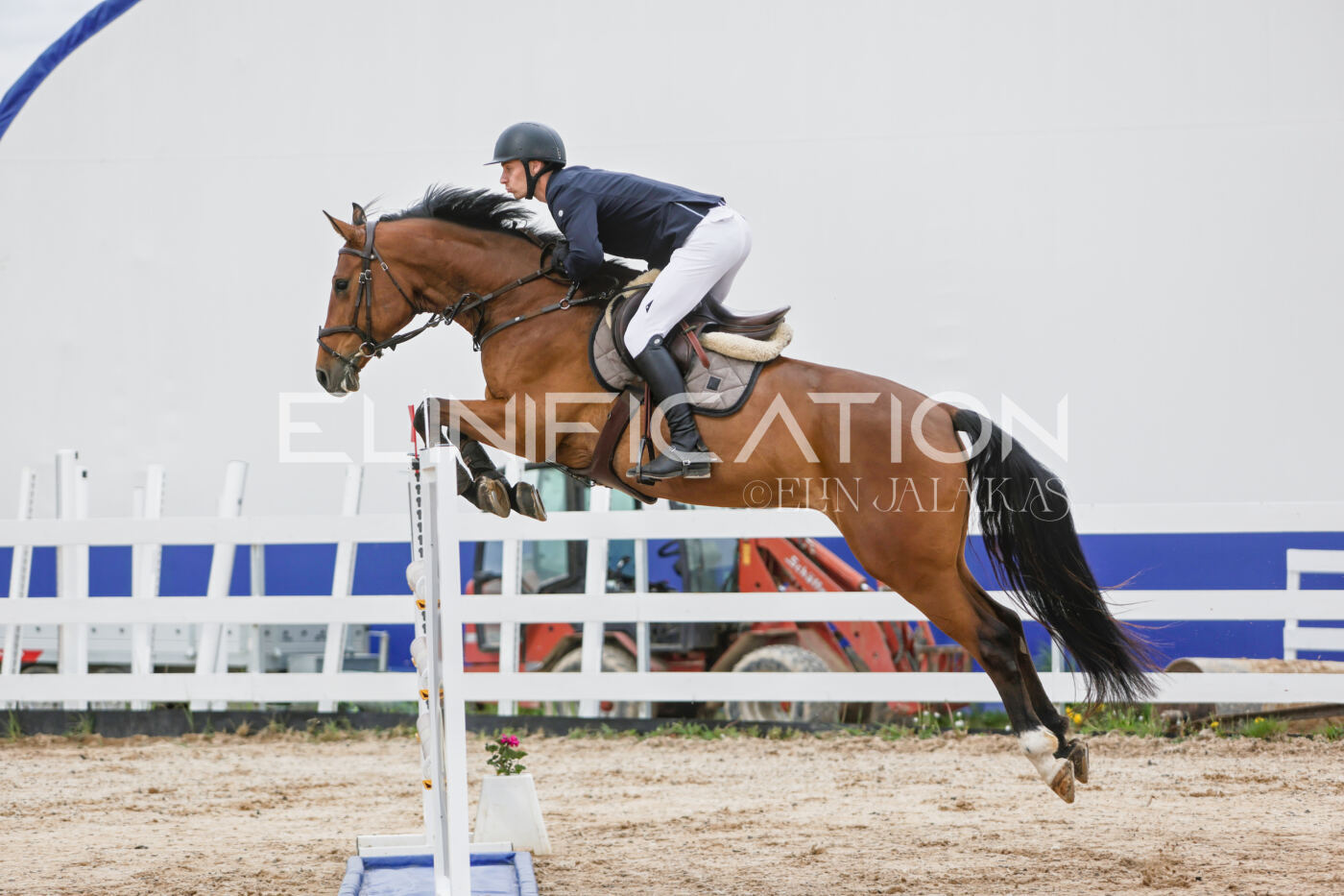 Gramina_Kevad_2026_120_063