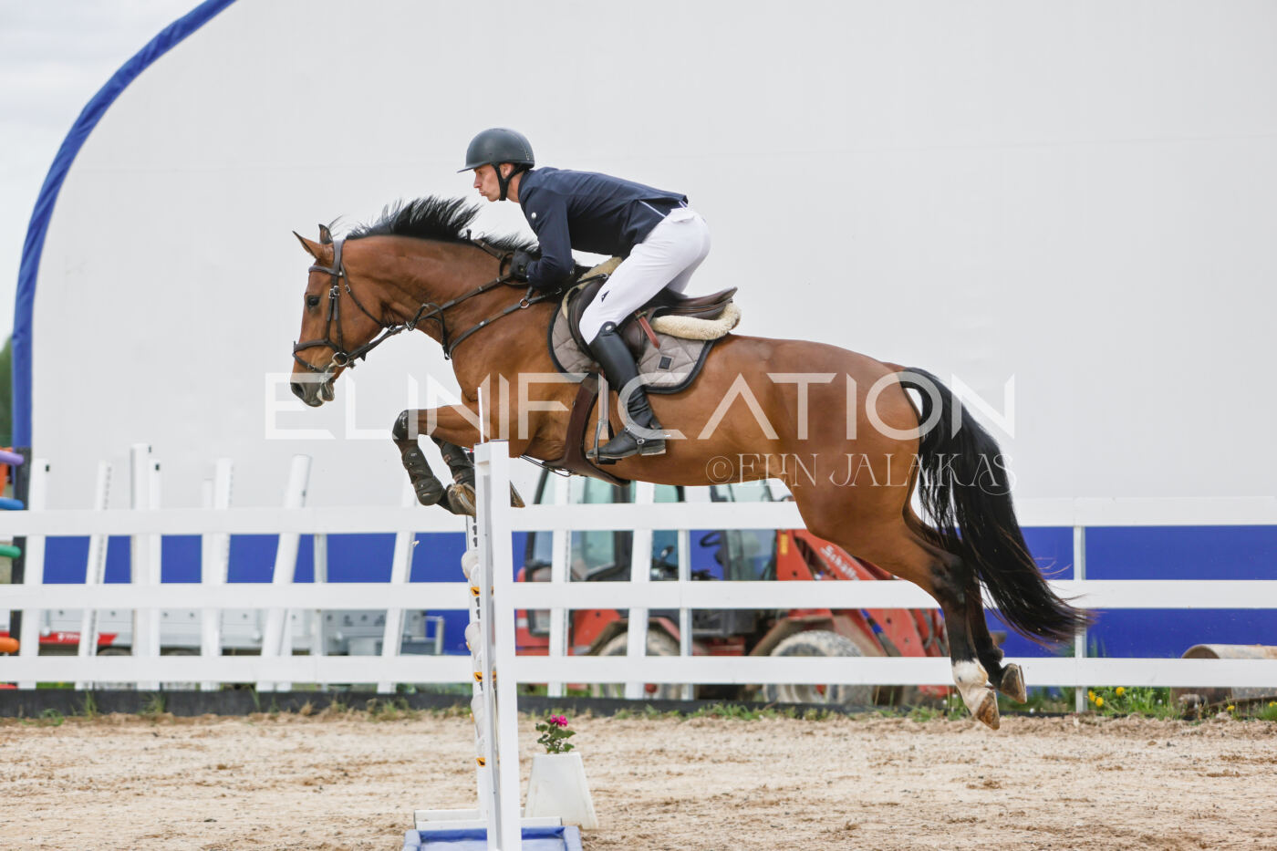 Gramina_Kevad_2026_120_064
