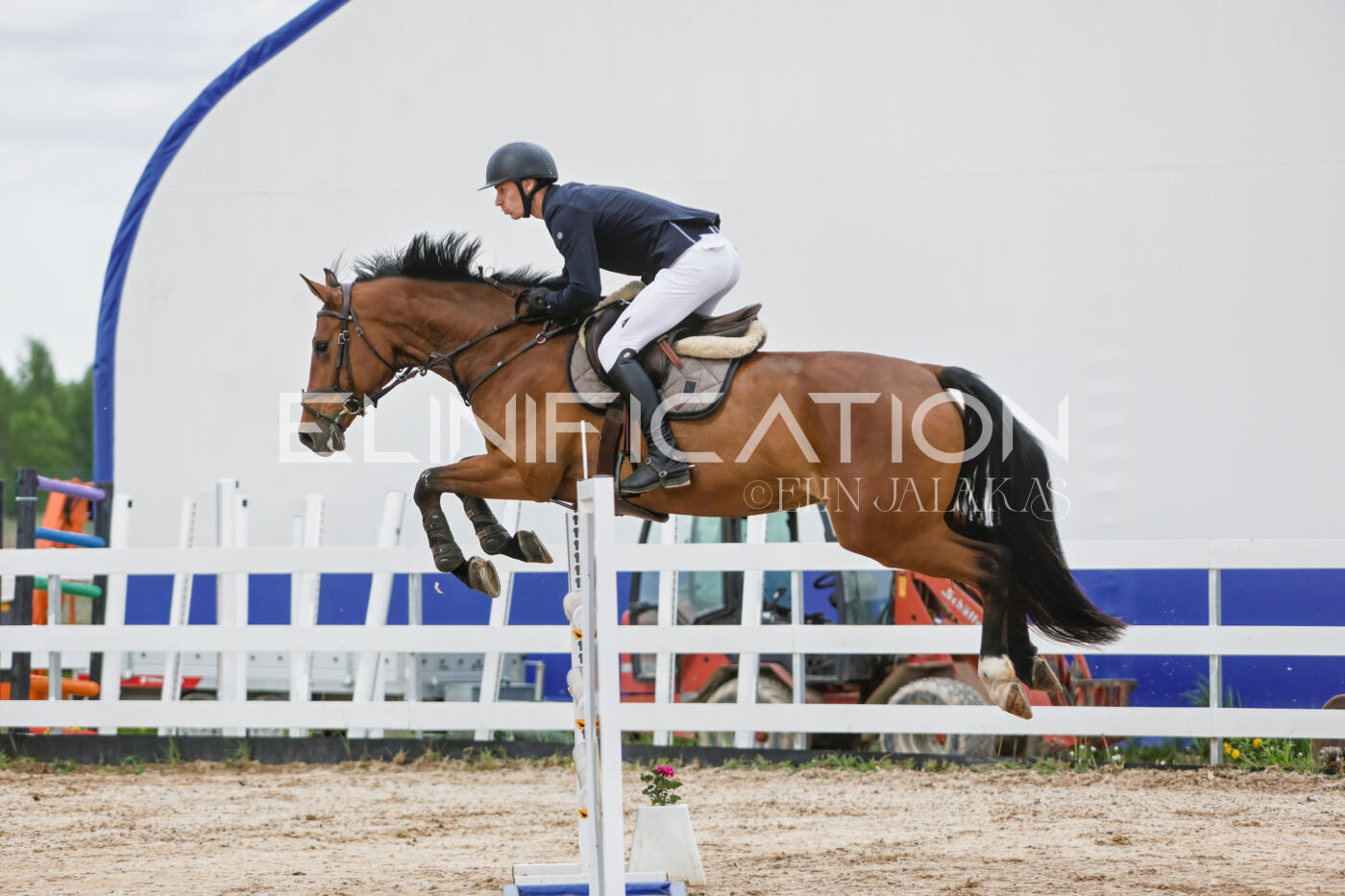 Gramina_Kevad_2026_120_065