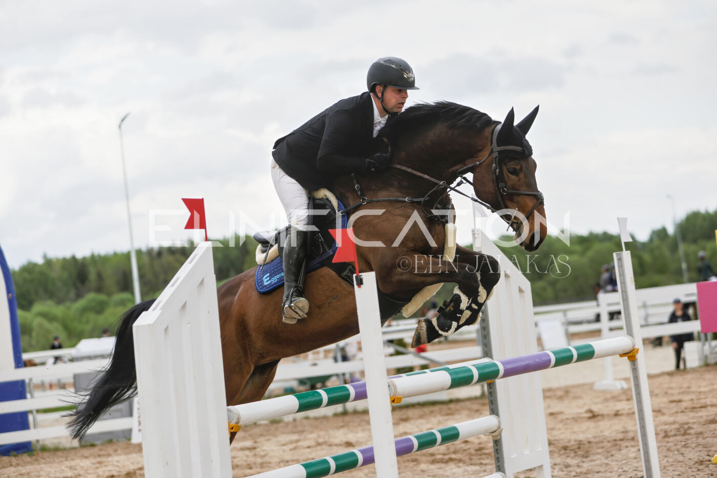 Gramina_Kevad_2026_120_066