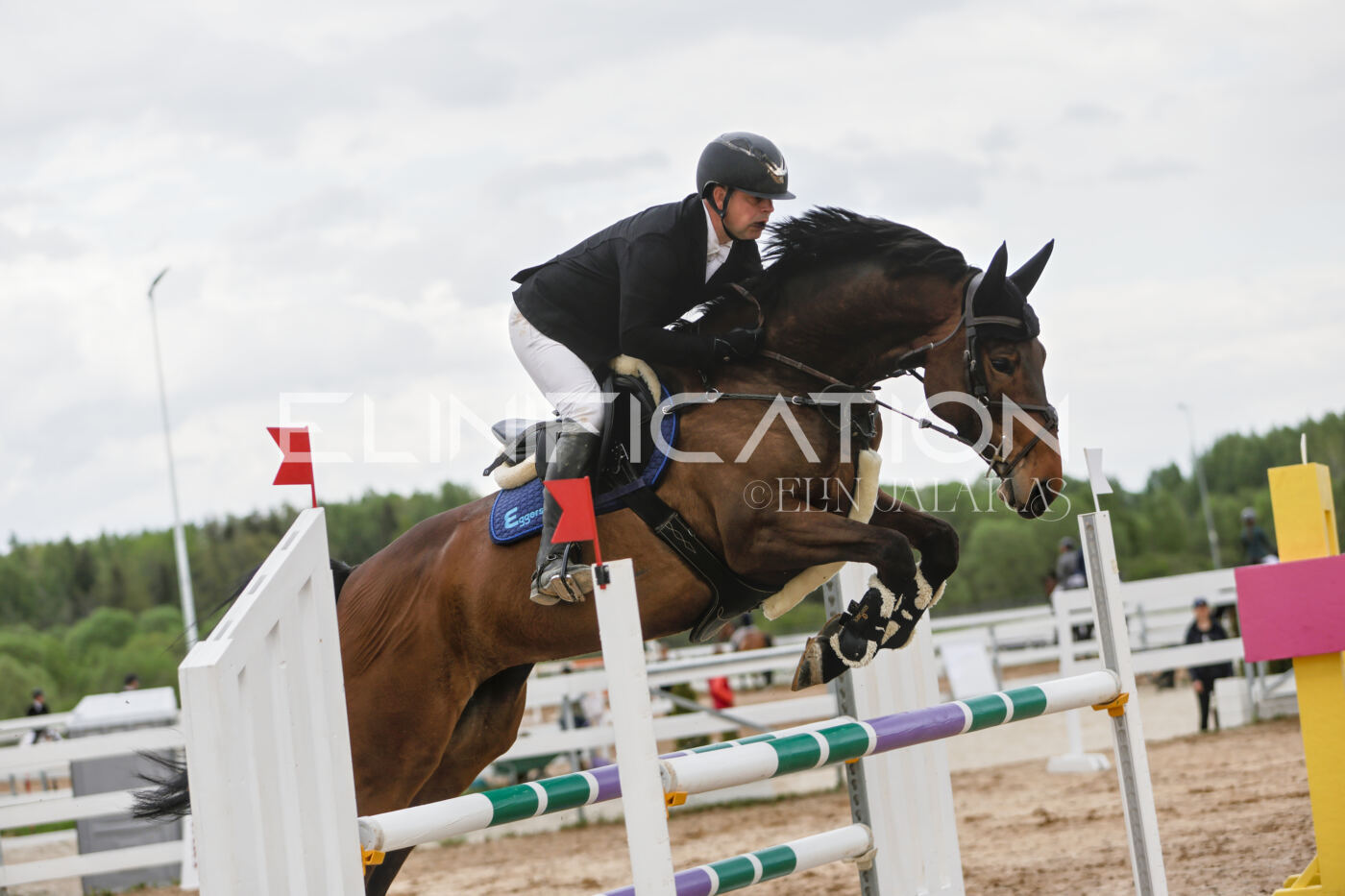 Gramina_Kevad_2026_120_067