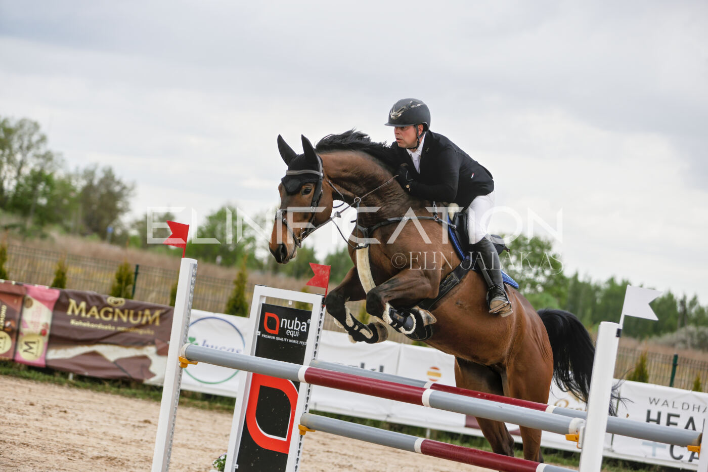 Gramina_Kevad_2026_120_070