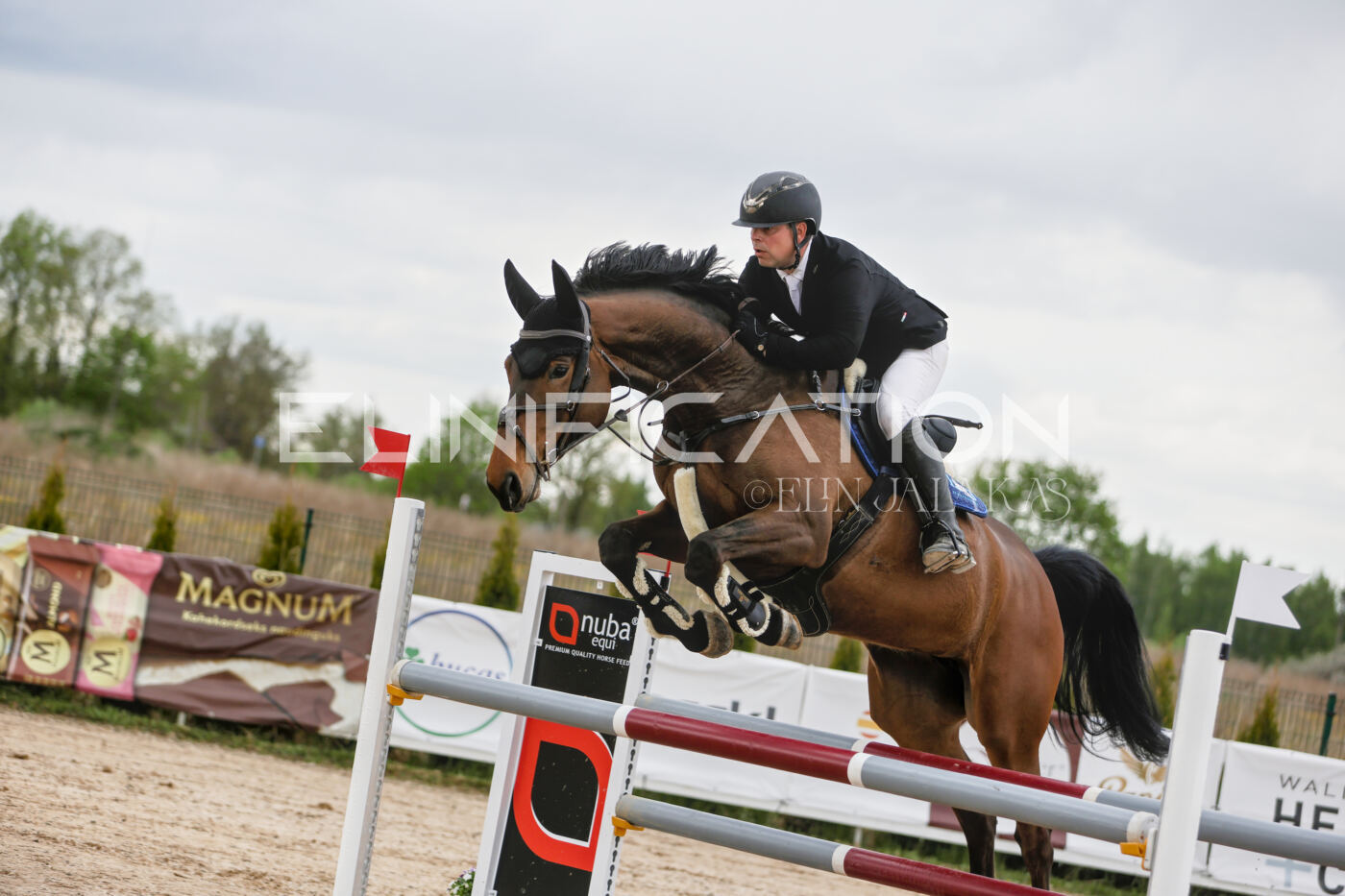Gramina_Kevad_2026_120_071