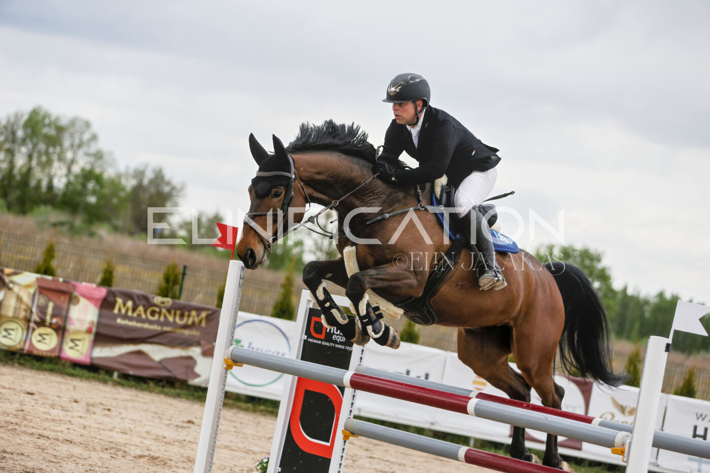 Gramina_Kevad_2026_120_072