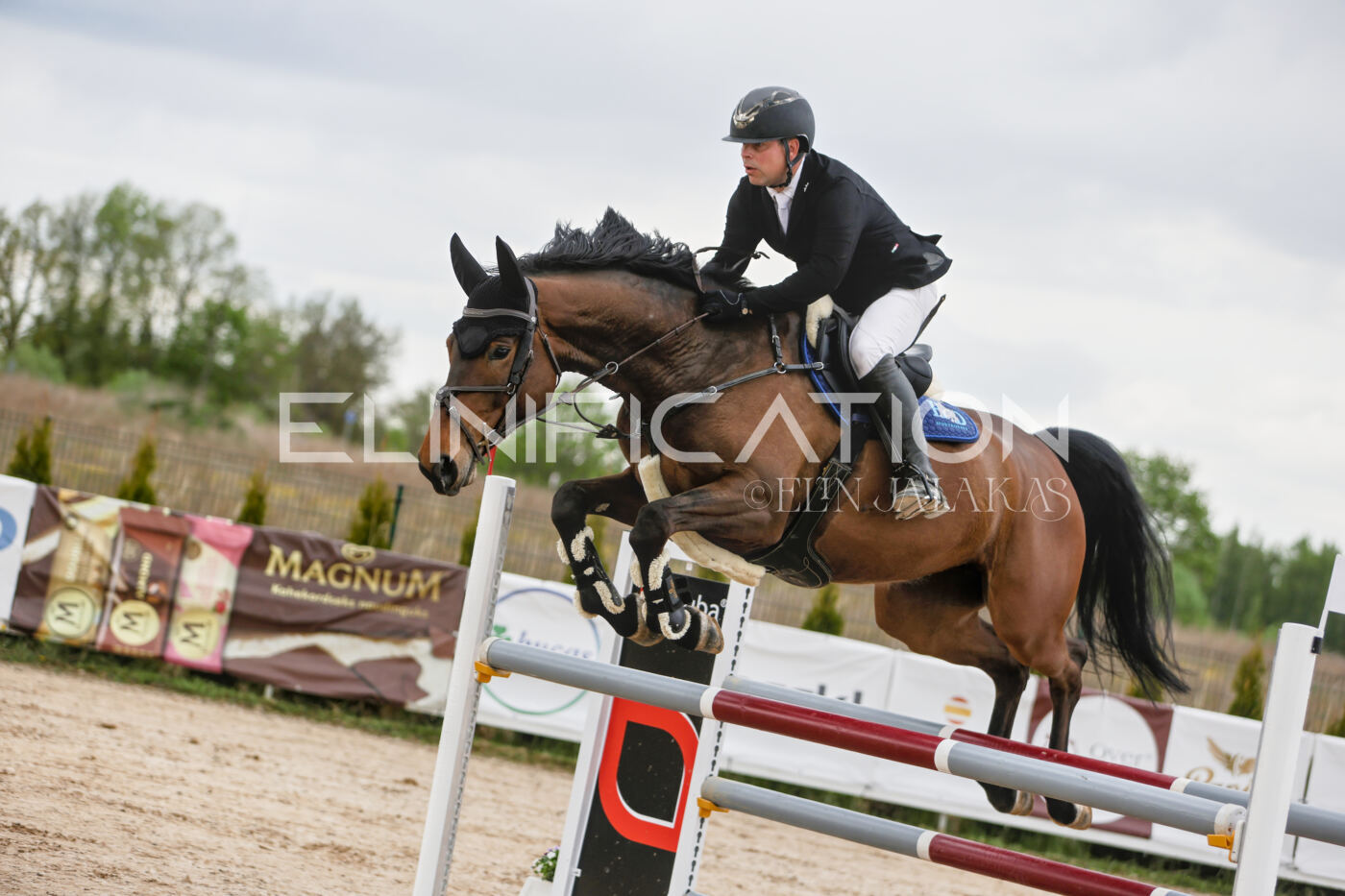 Gramina_Kevad_2026_120_073
