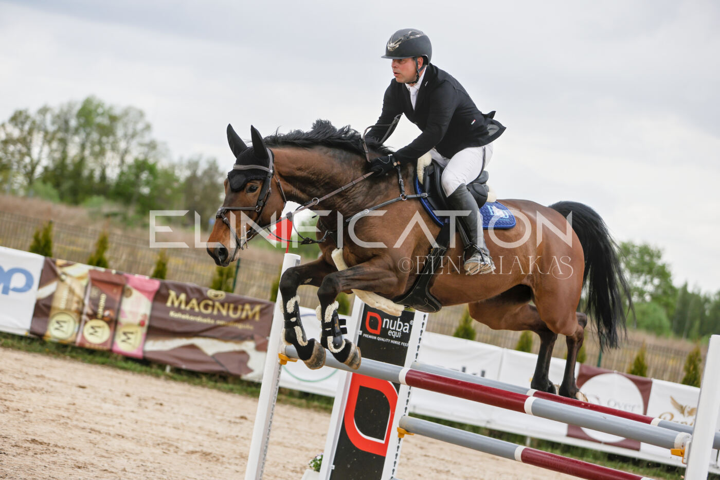 Gramina_Kevad_2026_120_074