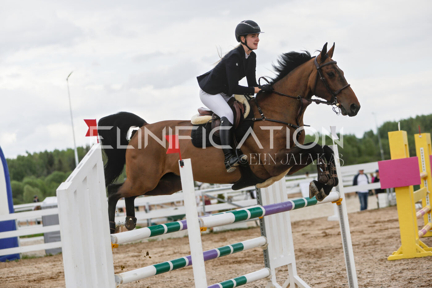 Gramina_Kevad_2026_120_078