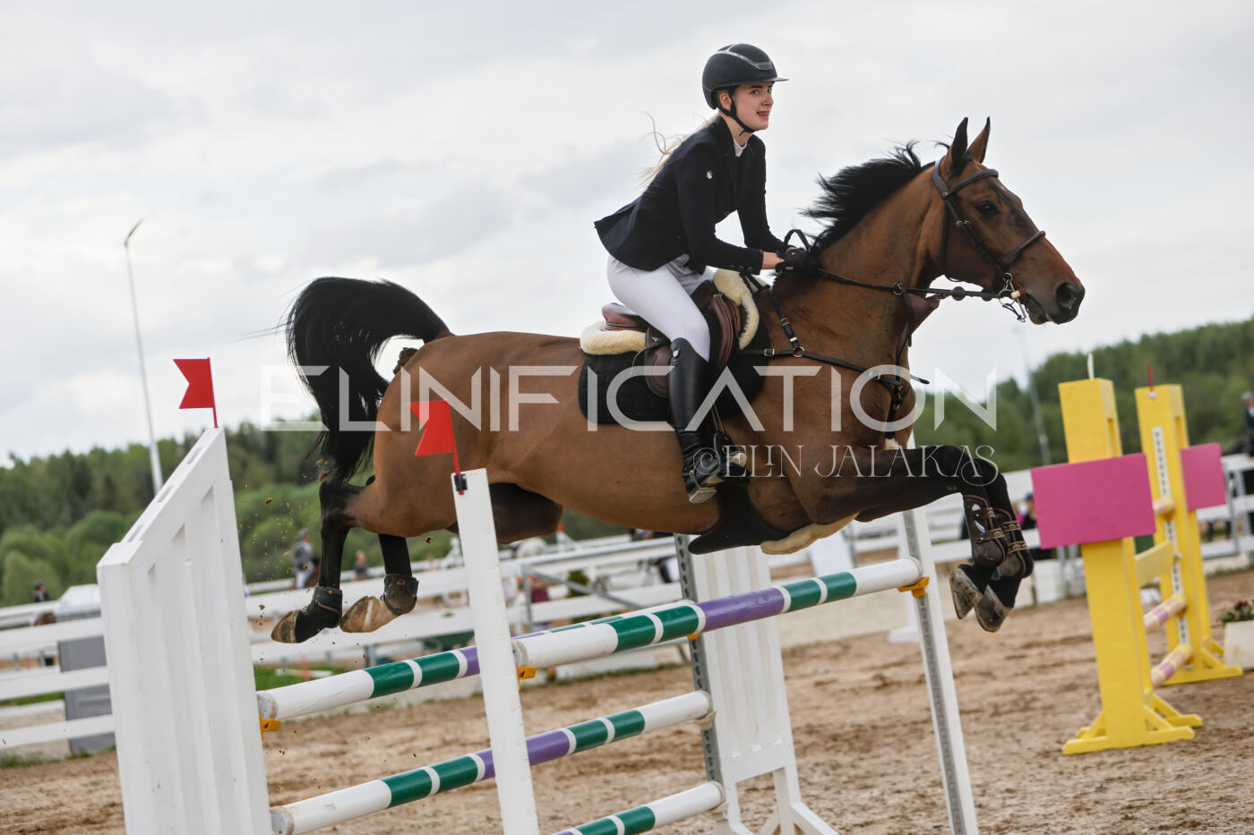 Gramina_Kevad_2026_120_079