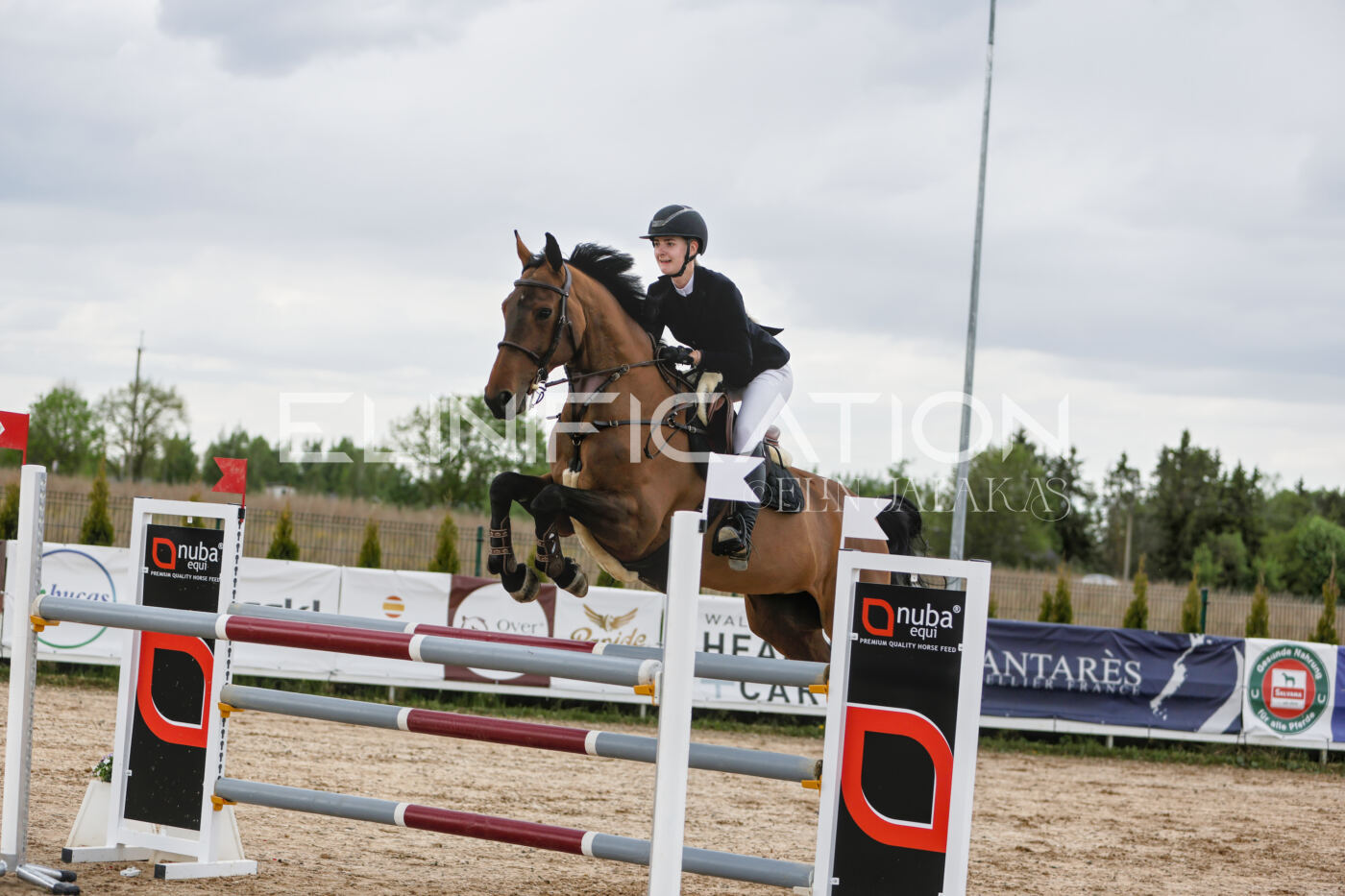 Gramina_Kevad_2026_120_081