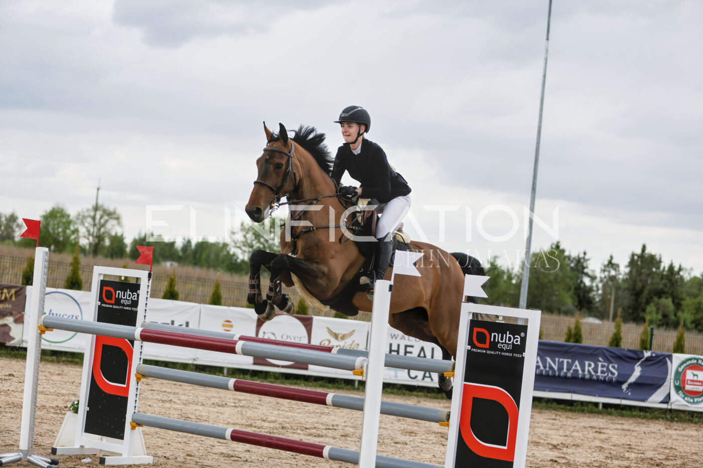 Gramina_Kevad_2026_120_082