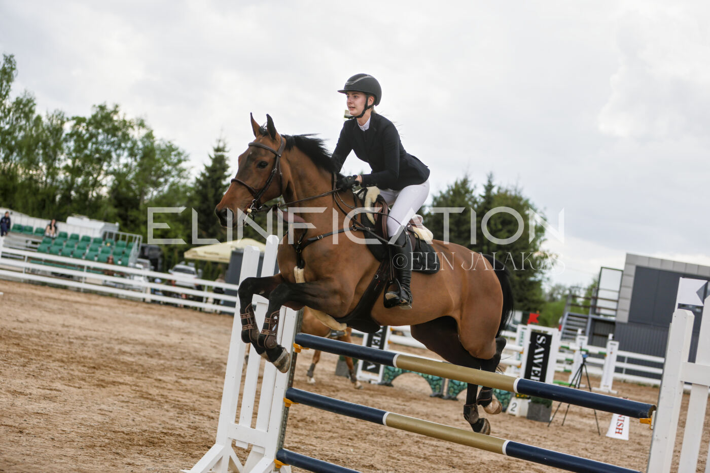 Gramina_Kevad_2026_120_090