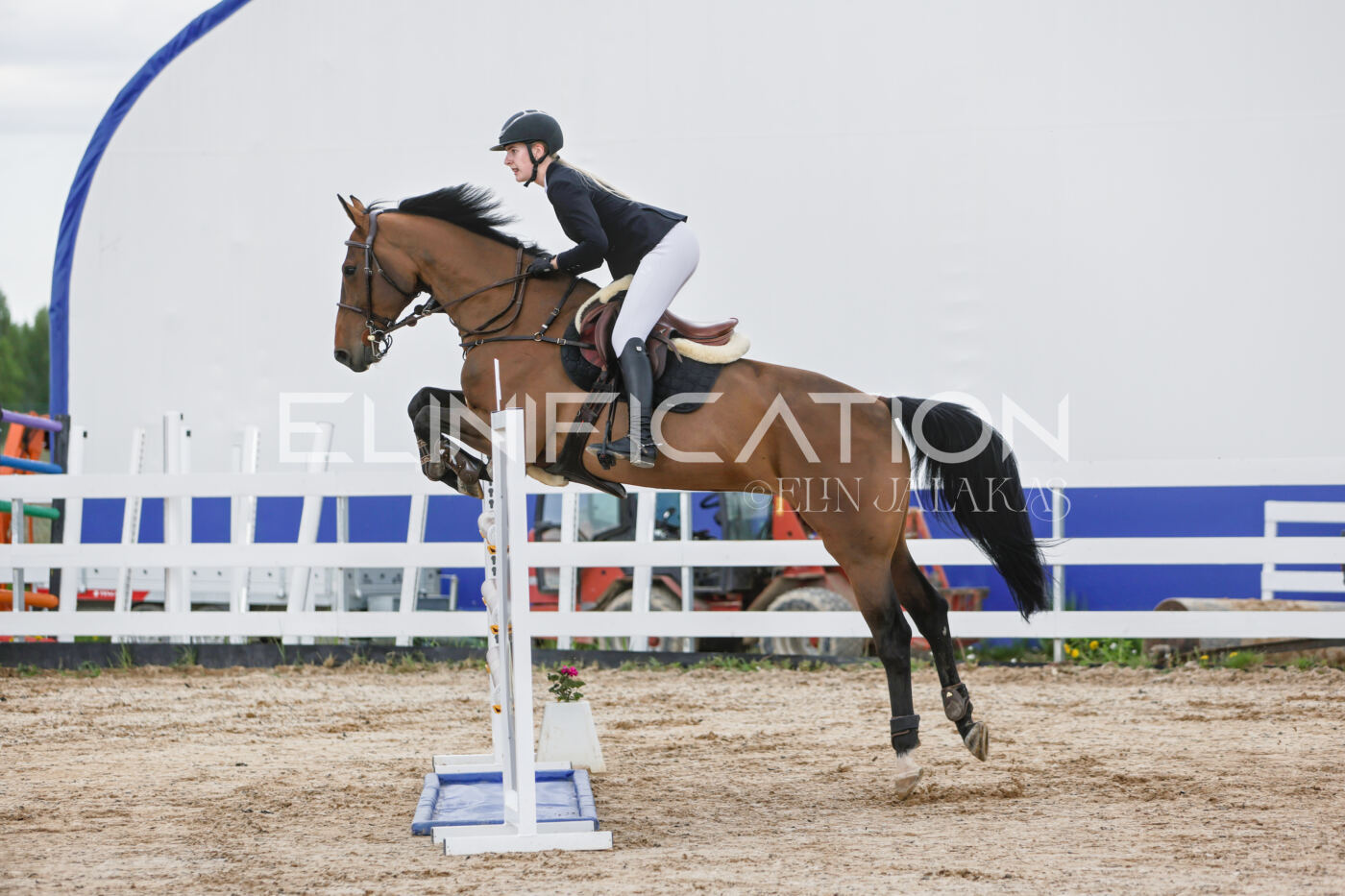 Gramina_Kevad_2026_120_094