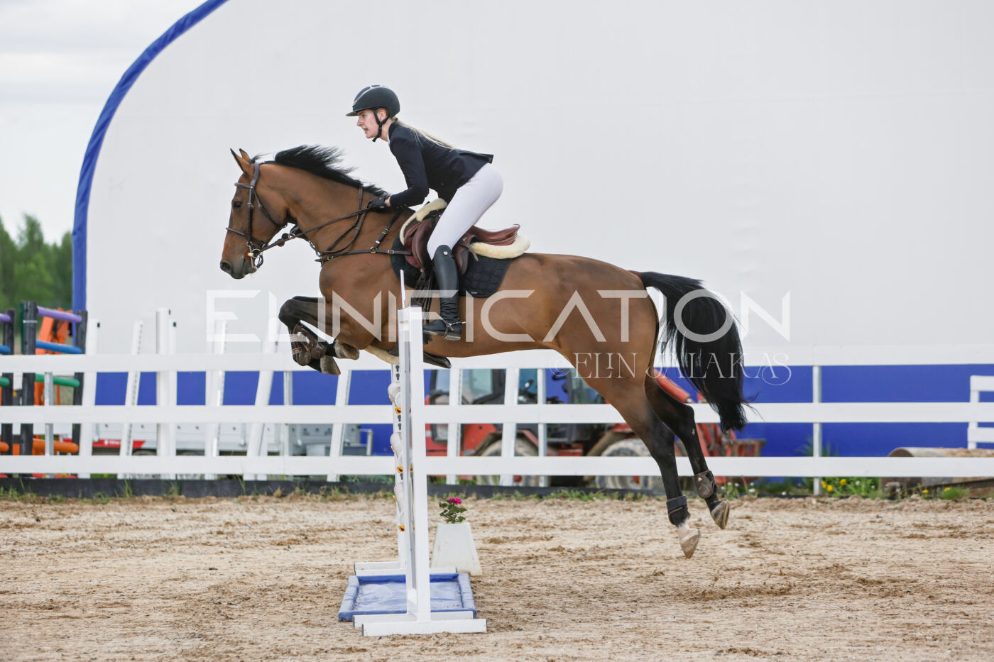 Gramina_Kevad_2026_120_095
