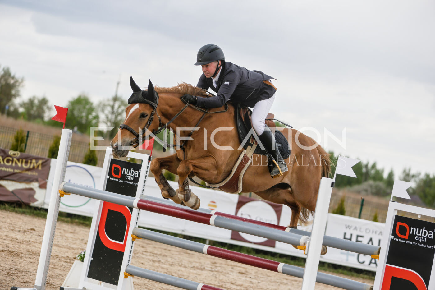 Gramina_Kevad_2026_120_104
