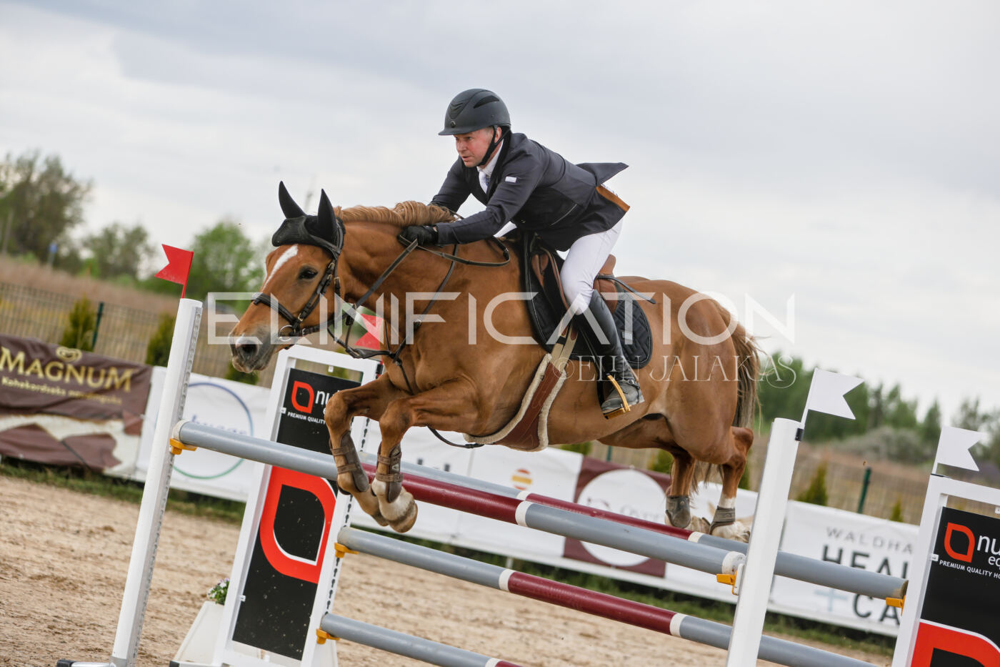 Gramina_Kevad_2026_120_105