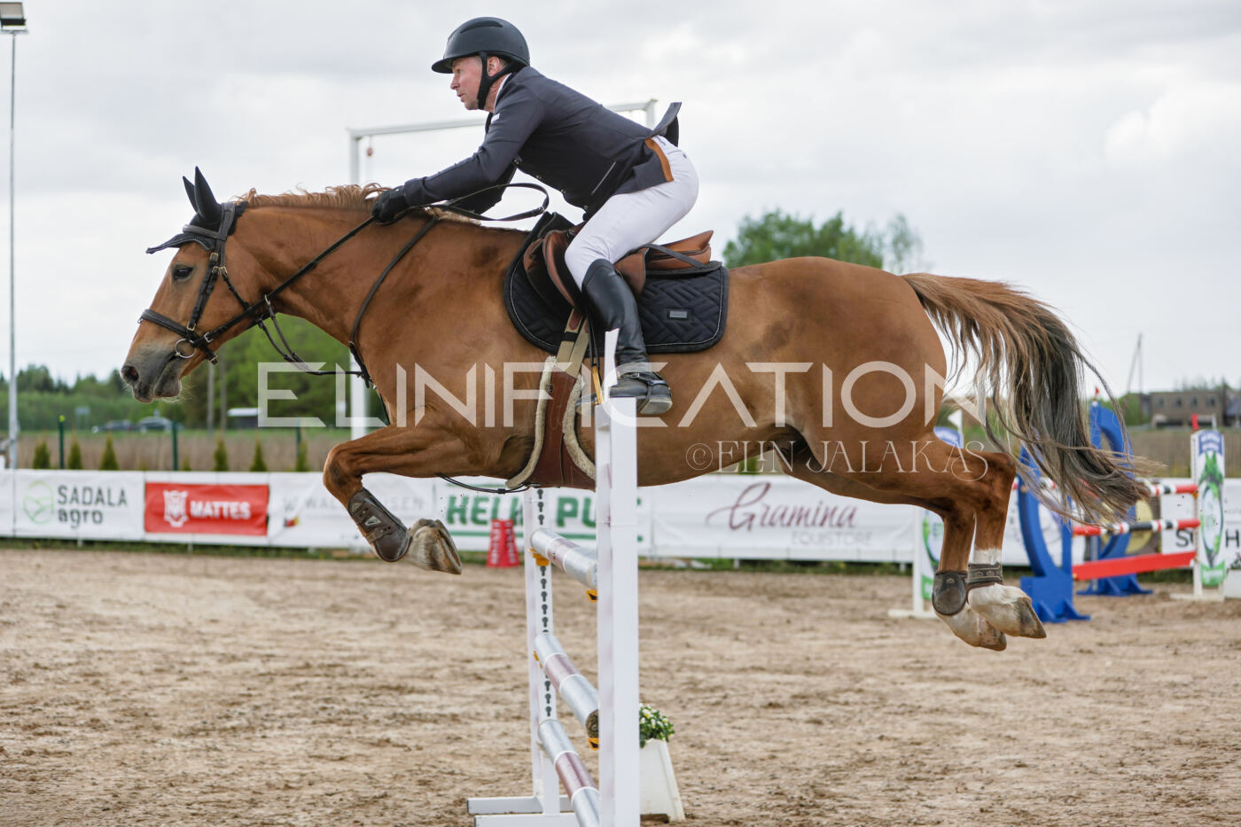 Gramina_Kevad_2026_120_110