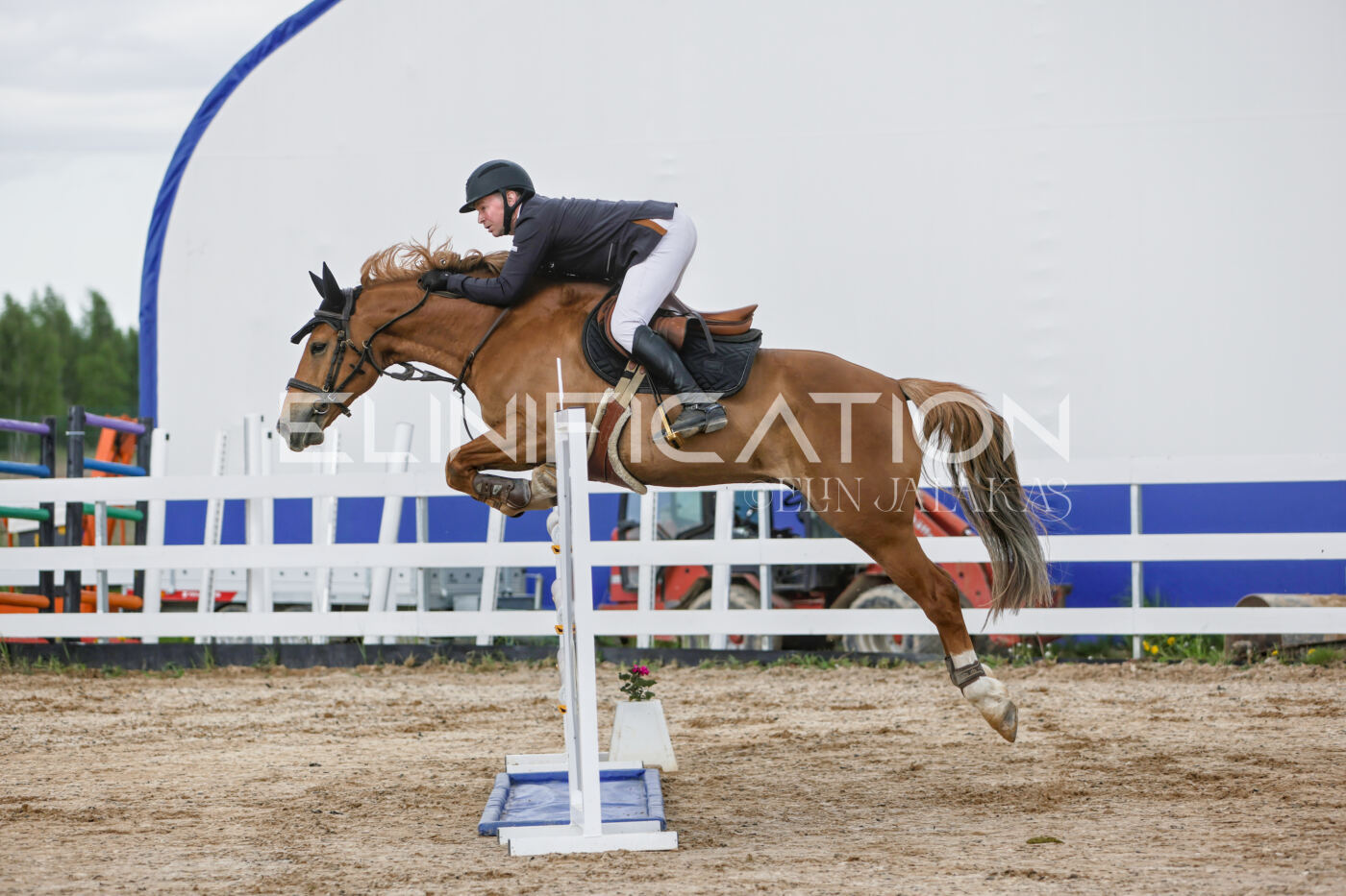 Gramina_Kevad_2026_120_114