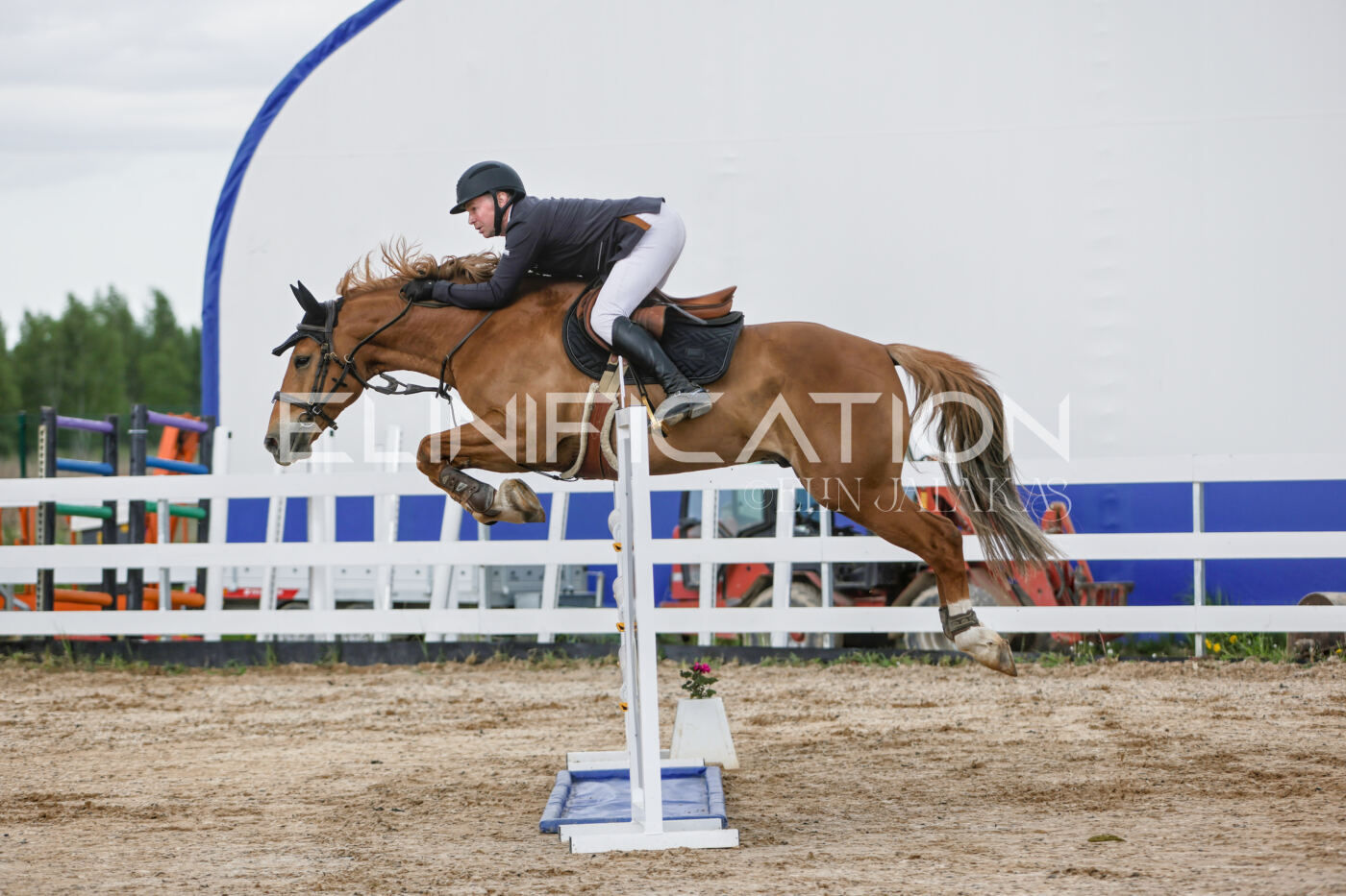 Gramina_Kevad_2026_120_115