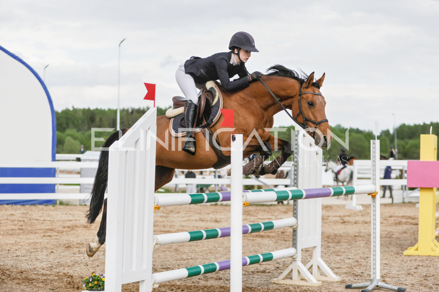 Gramina_Kevad_2026_120_117