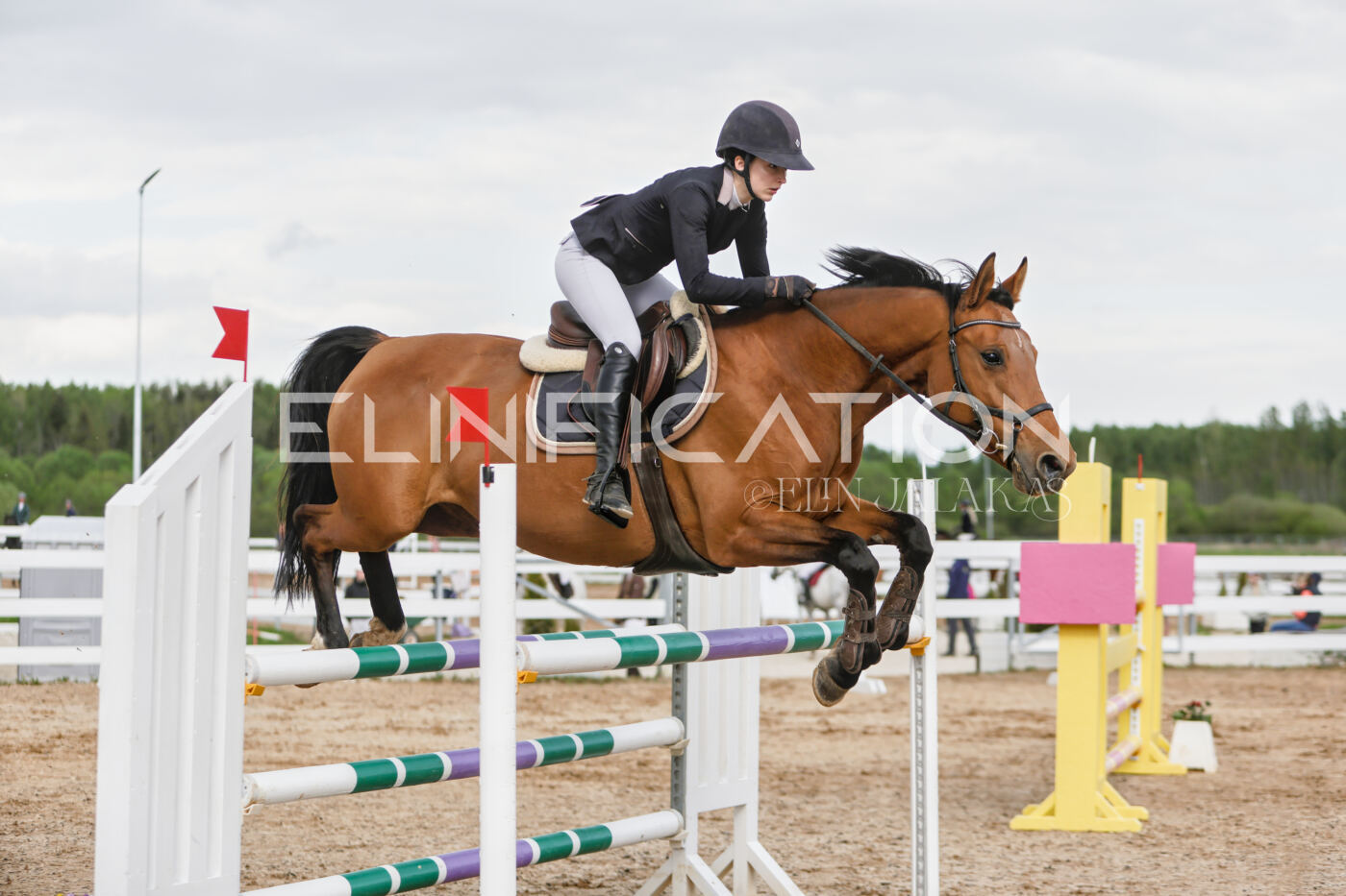 Gramina_Kevad_2026_120_120