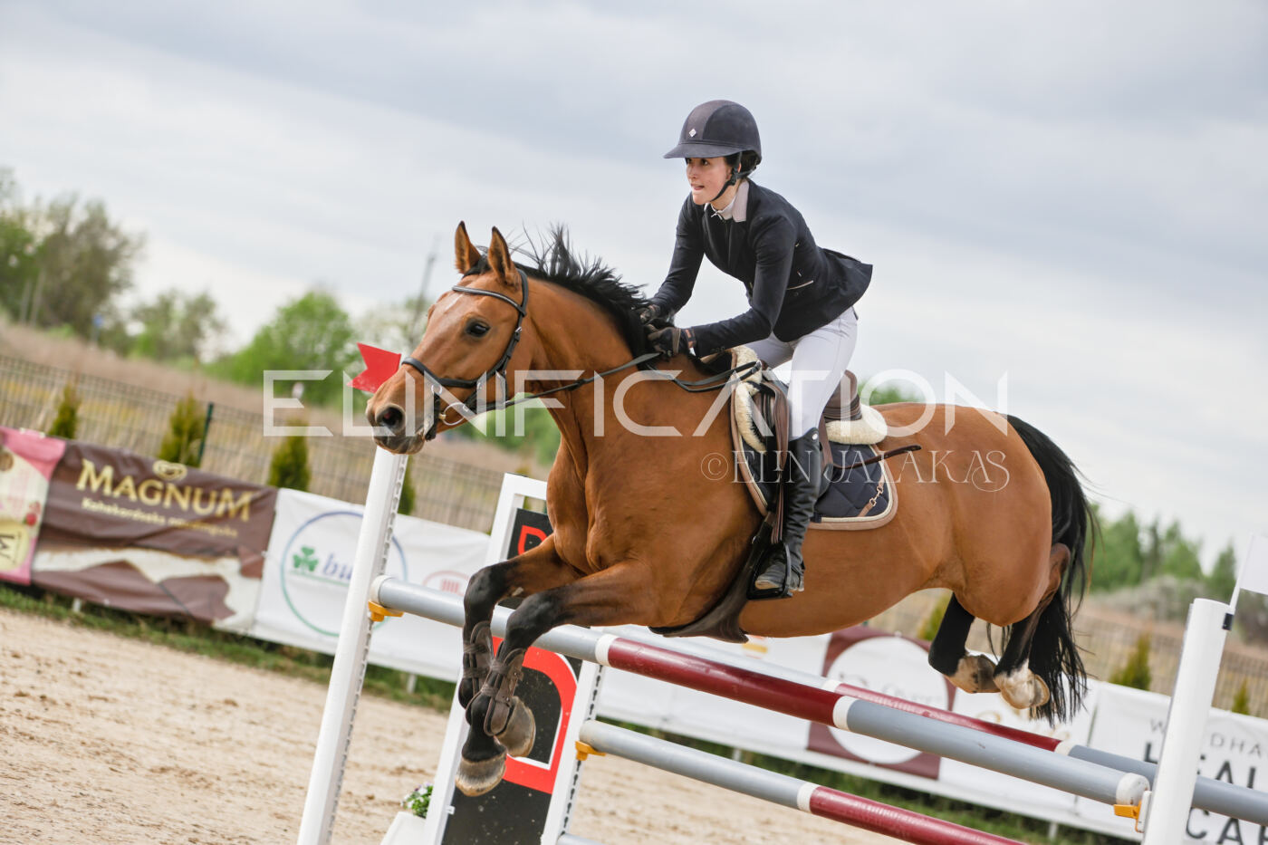 Gramina_Kevad_2026_120_130