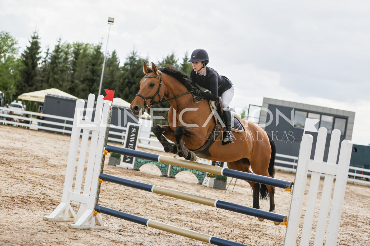 Gramina_Kevad_2026_120_131