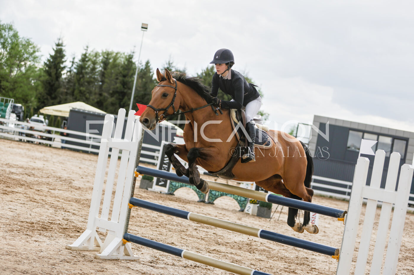 Gramina_Kevad_2026_120_132
