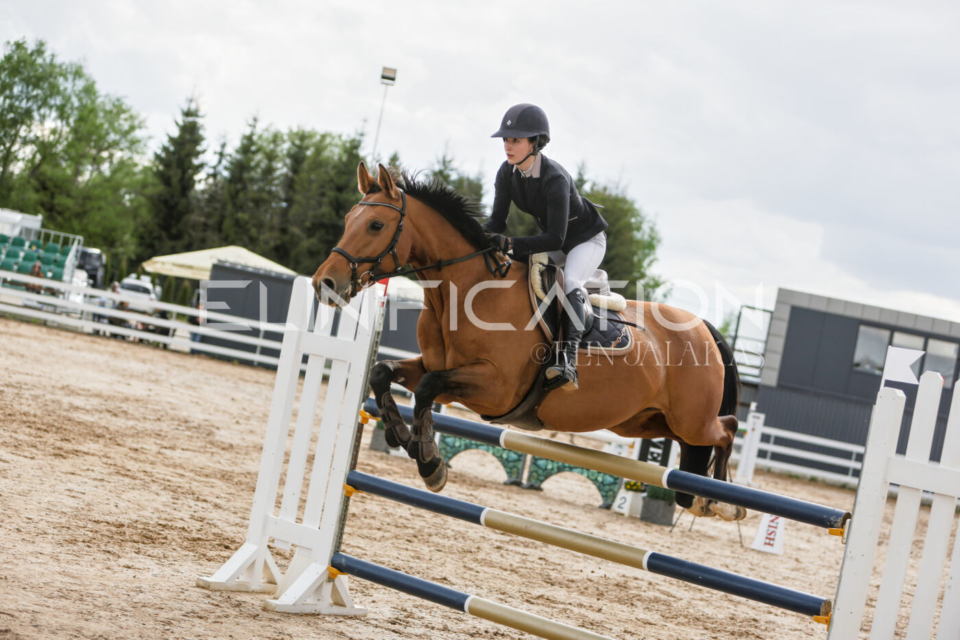 Gramina_Kevad_2026_120_133