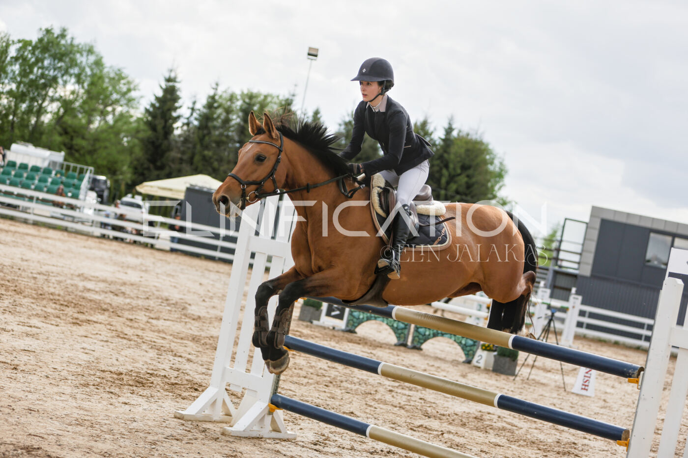Gramina_Kevad_2026_120_134