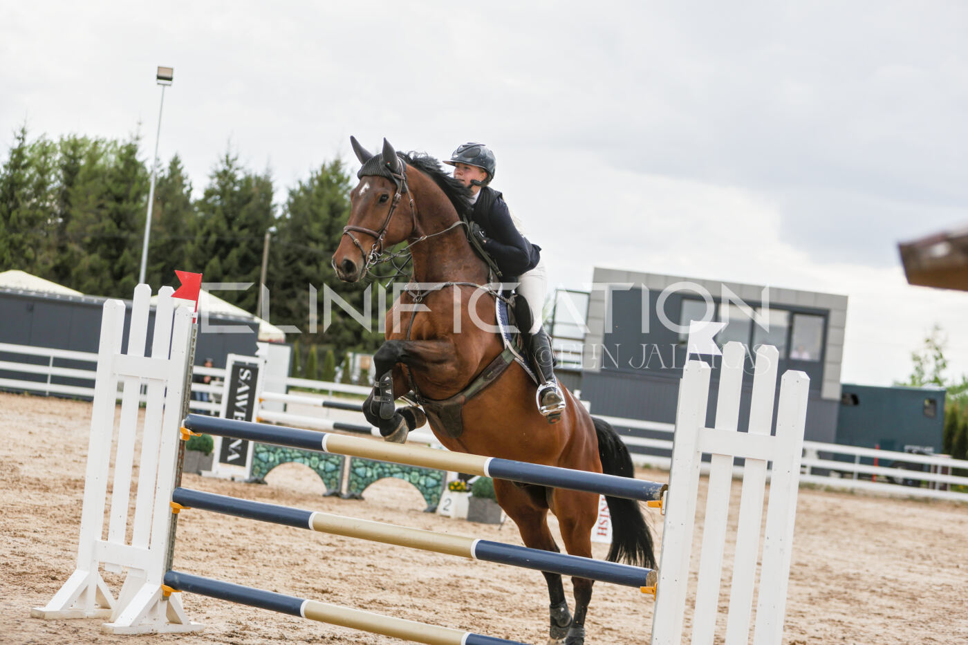 Gramina_Kevad_2026_120_158