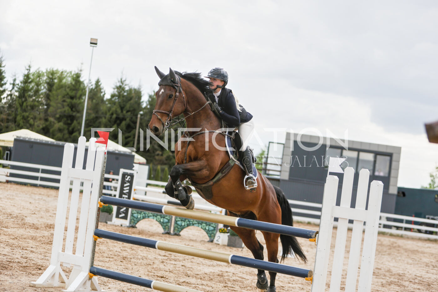 Gramina_Kevad_2026_120_159