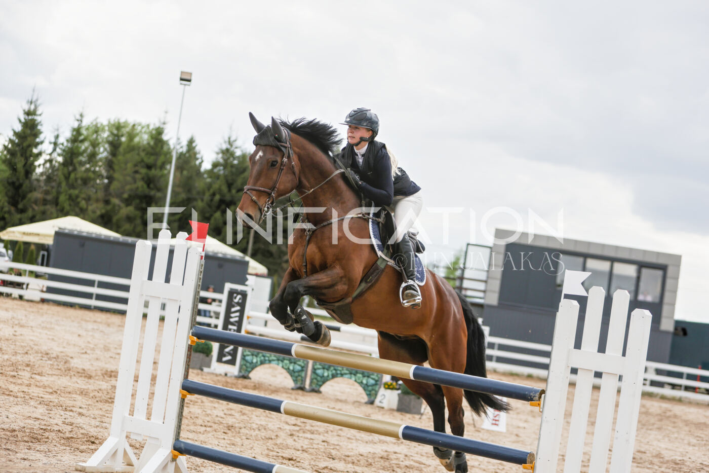 Gramina_Kevad_2026_120_160