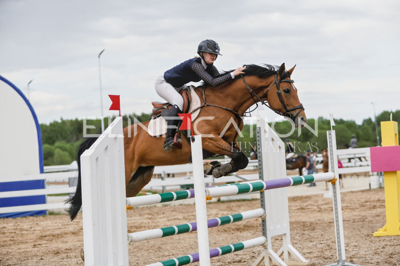 Gramina_Kevad_2026_120_180