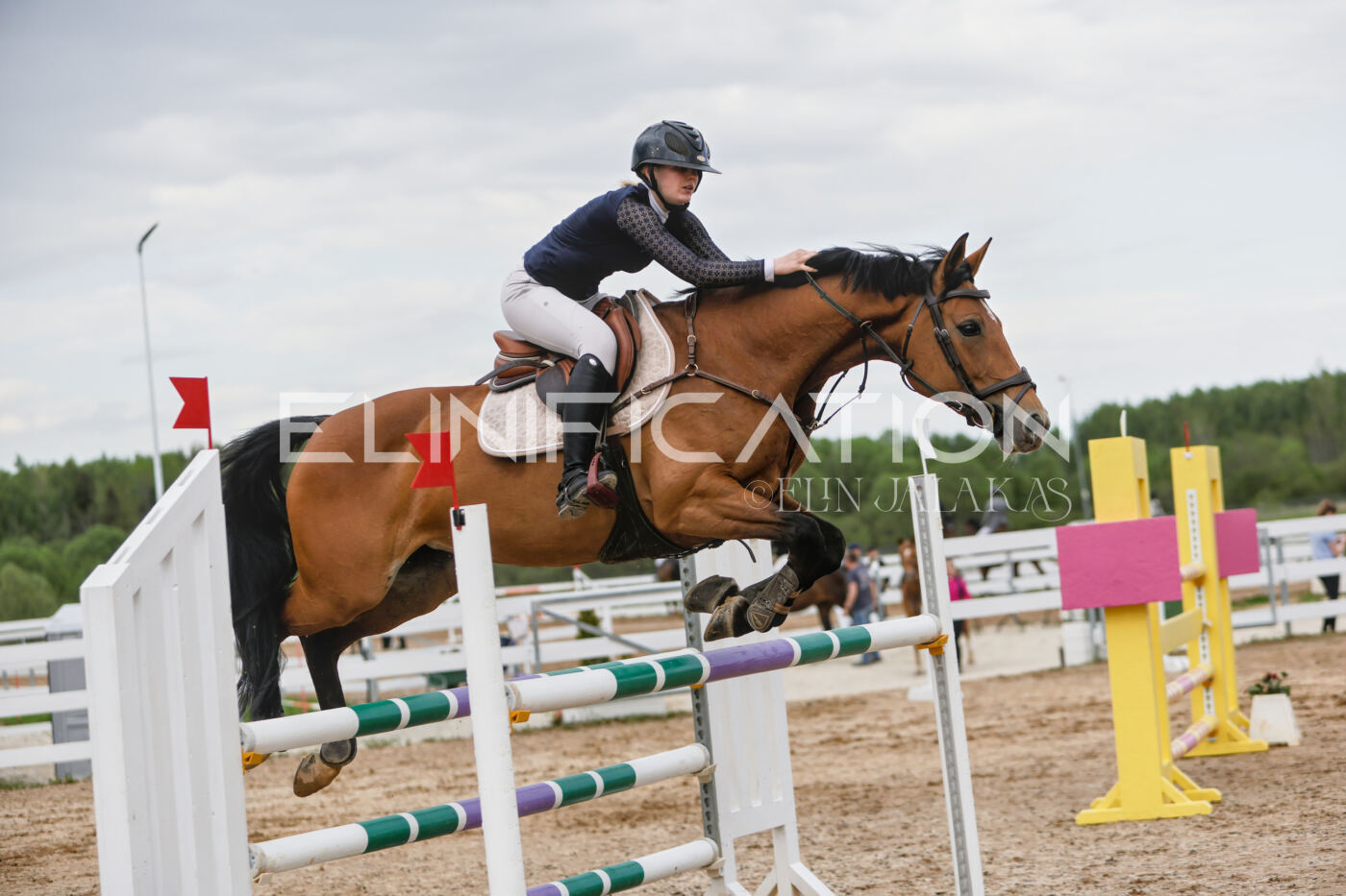 Gramina_Kevad_2026_120_182