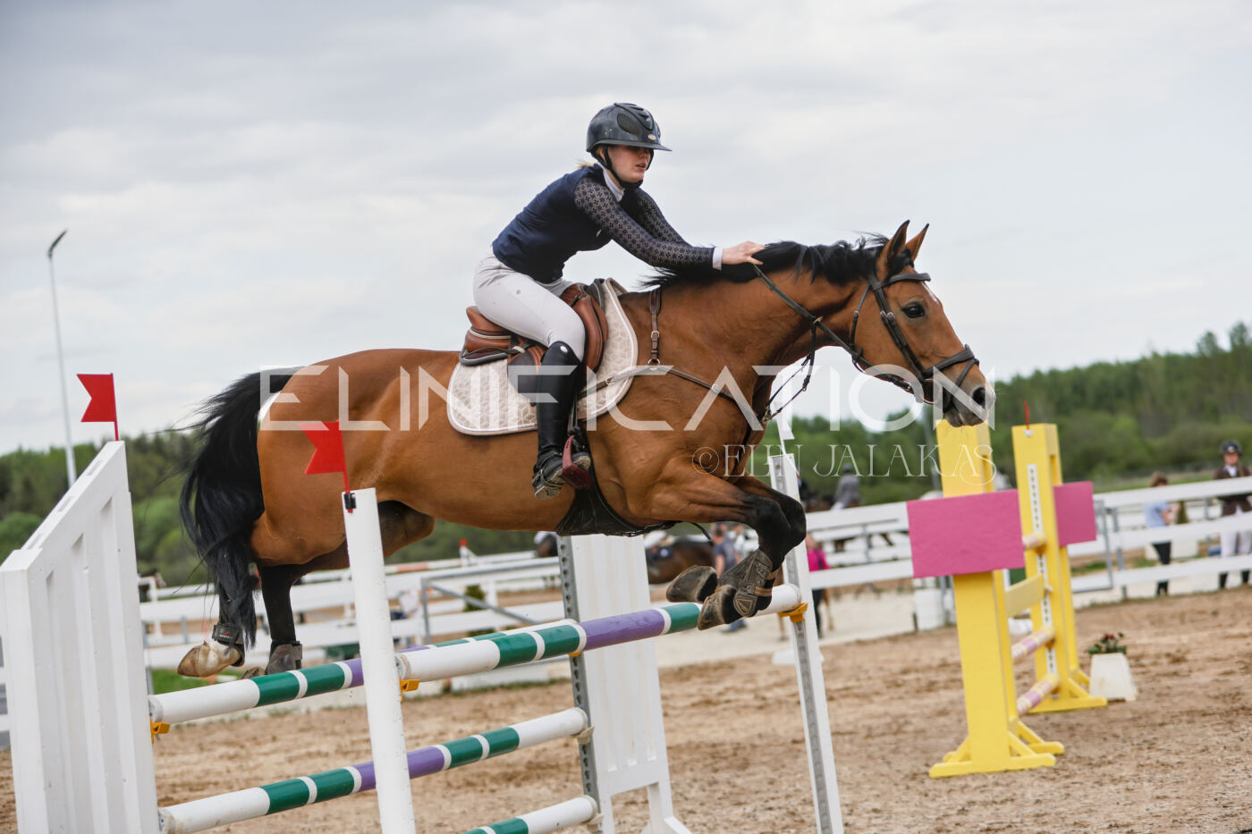 Gramina_Kevad_2026_120_183