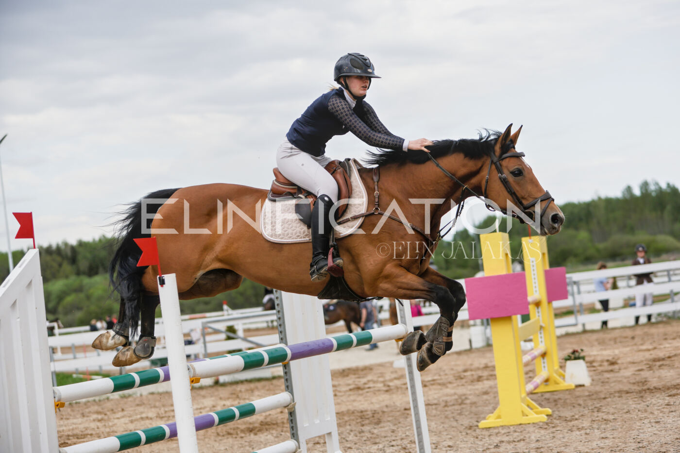 Gramina_Kevad_2026_120_184
