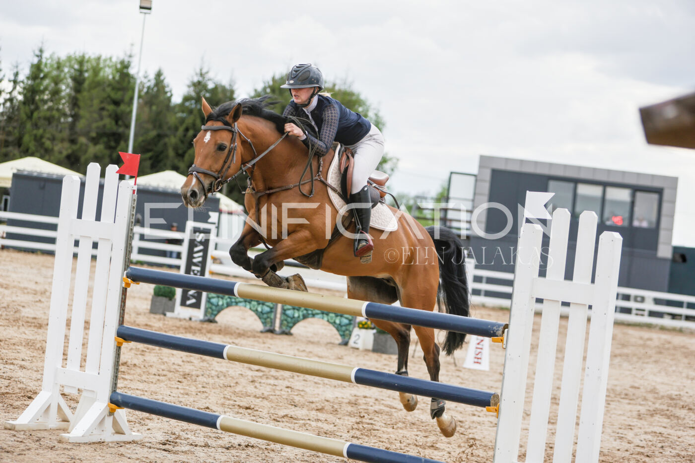 Gramina_Kevad_2026_120_190