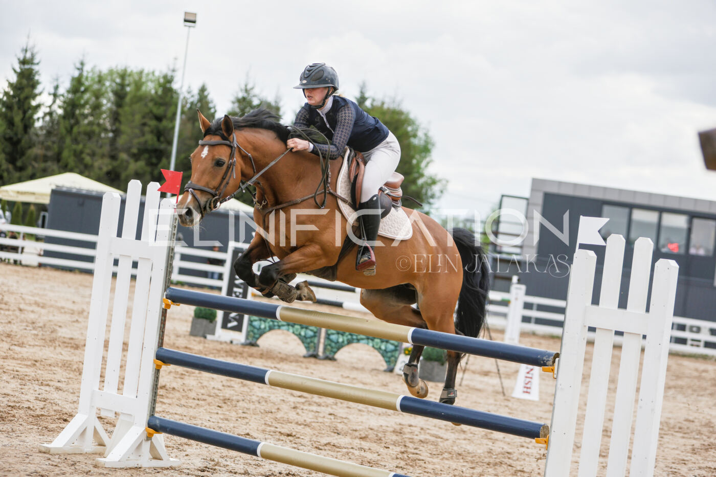 Gramina_Kevad_2026_120_191