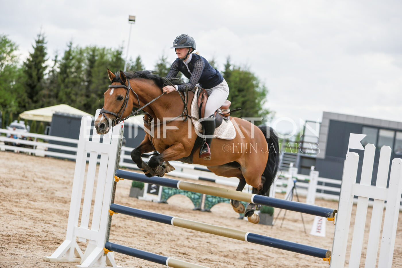 Gramina_Kevad_2026_120_192