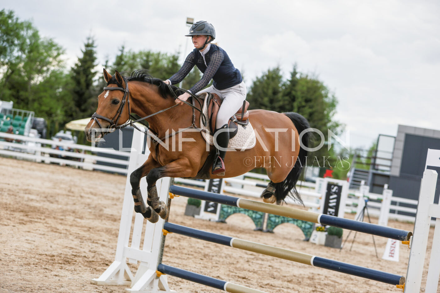 Gramina_Kevad_2026_120_193