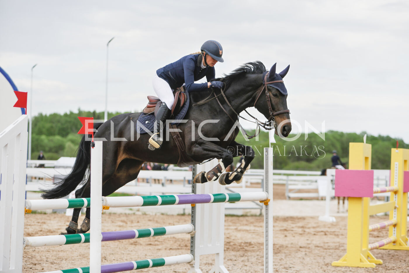 Gramina_Kevad_2026_120_195