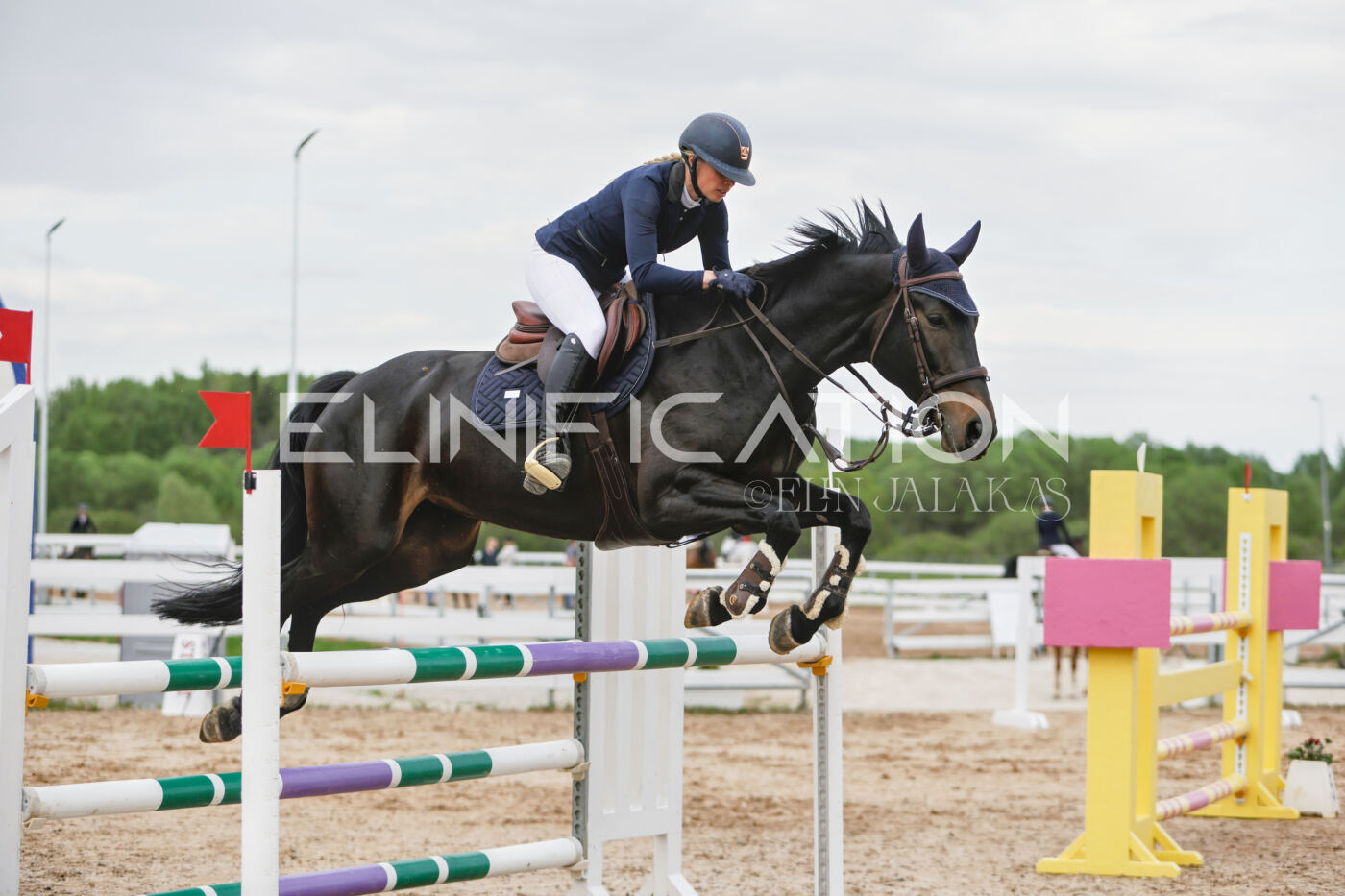 Gramina_Kevad_2026_120_196