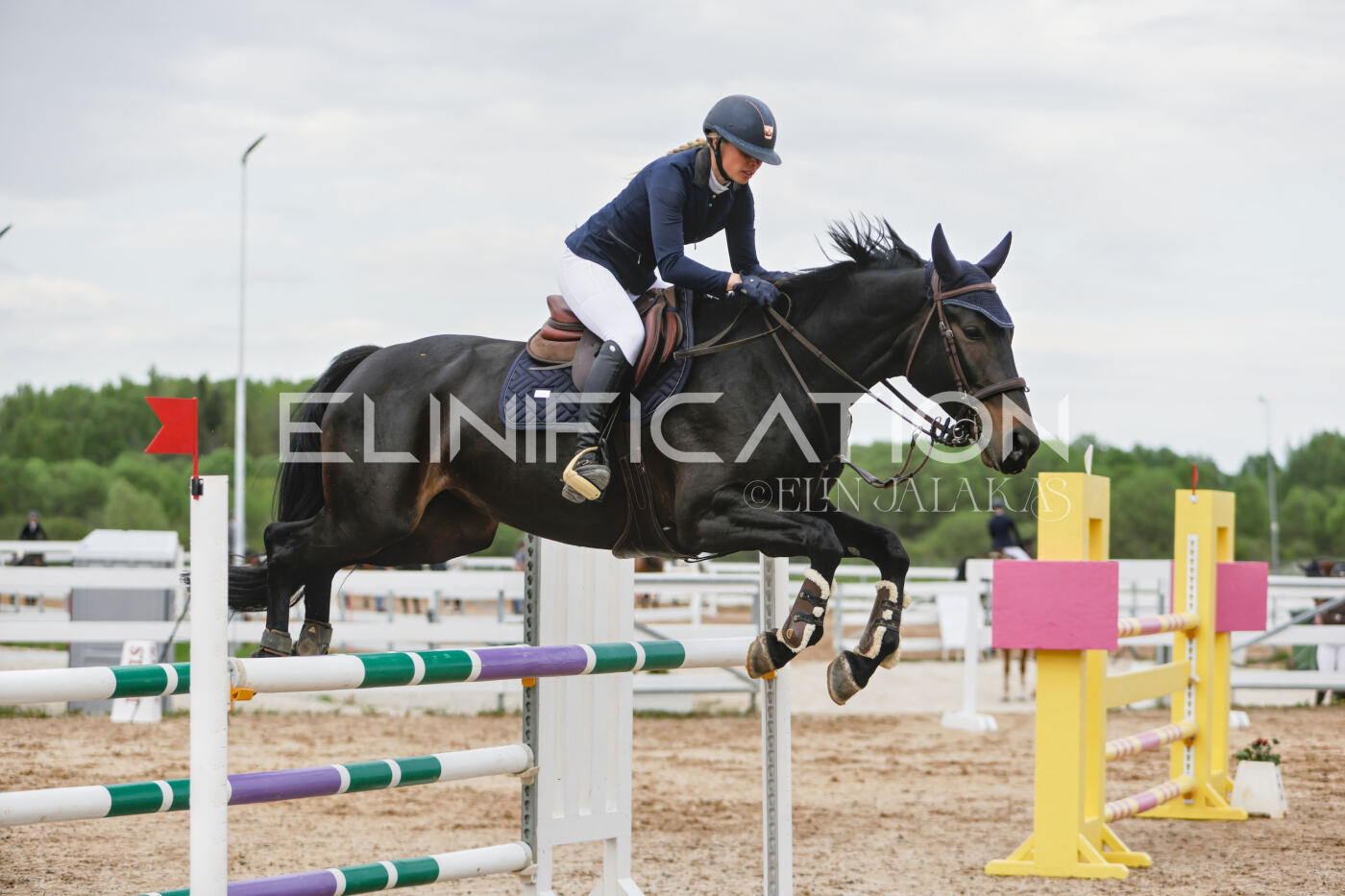 Gramina_Kevad_2026_120_197