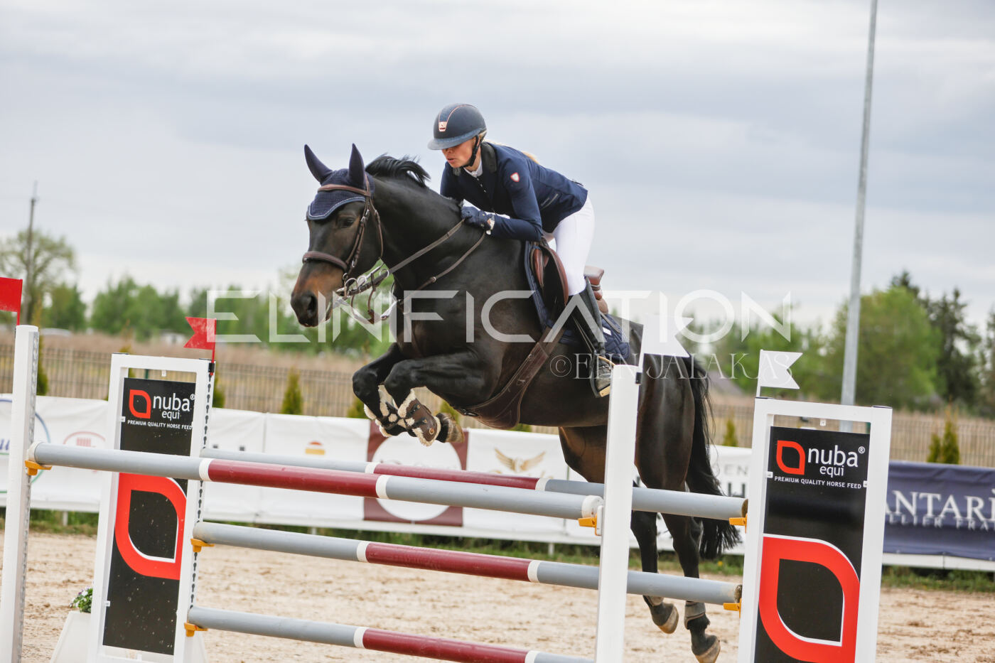 Gramina_Kevad_2026_120_204